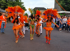 Sfeerbeeld van tropisch entertainment