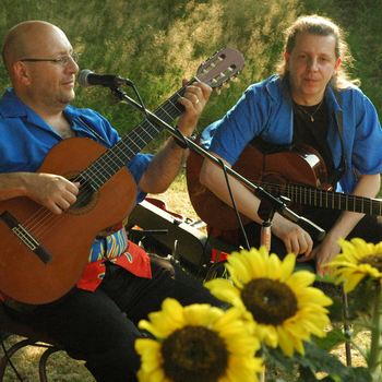Gitaristen tijdens een live buitenoptreden